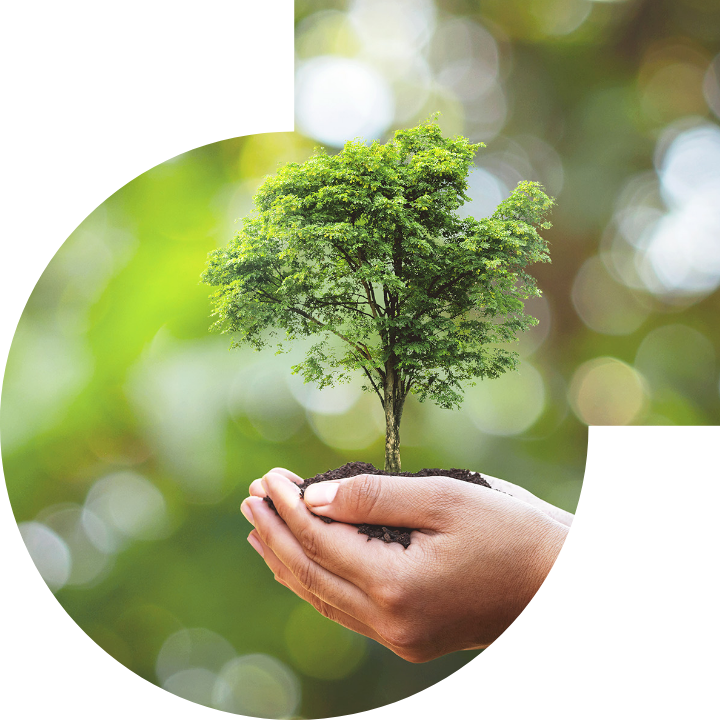 关怀人类、文化、环境与社会